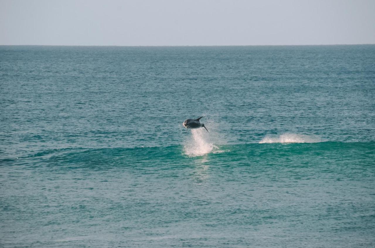 Aotearoa Surf Eco Pods Hotell Te Arai Exteriör bild